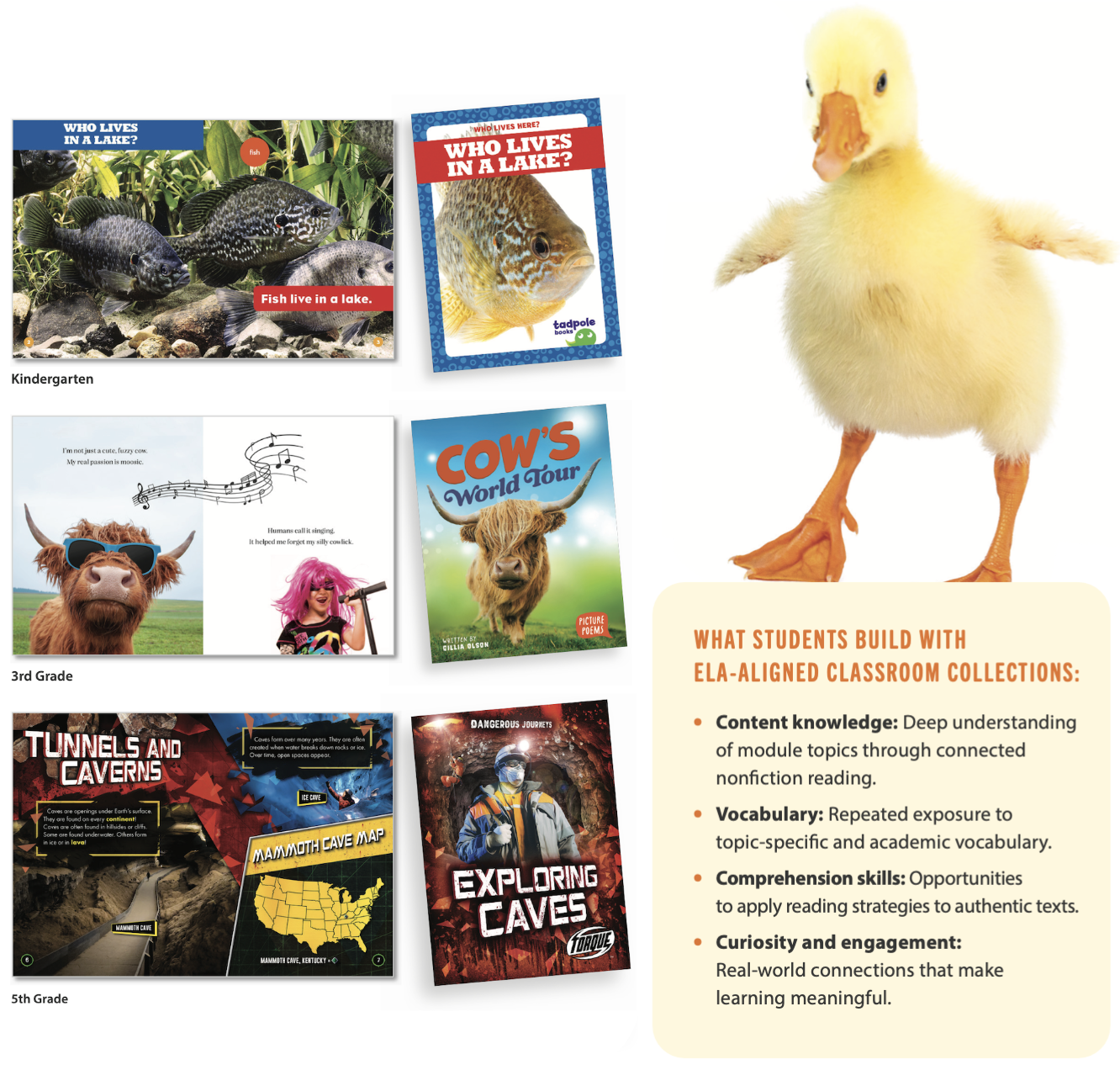 Alignment example showing <i>Into Reading</i>module, matched FlutterBee title, and vocabulary highlight